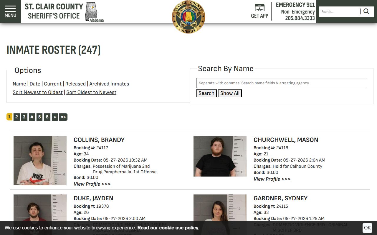 St. Clair County inmate roster search controls and booking cards